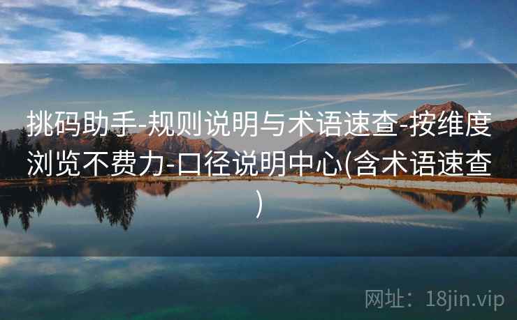 挑码助手-规则说明与术语速查-按维度浏览不费力-口径说明中心(含术语速查)
